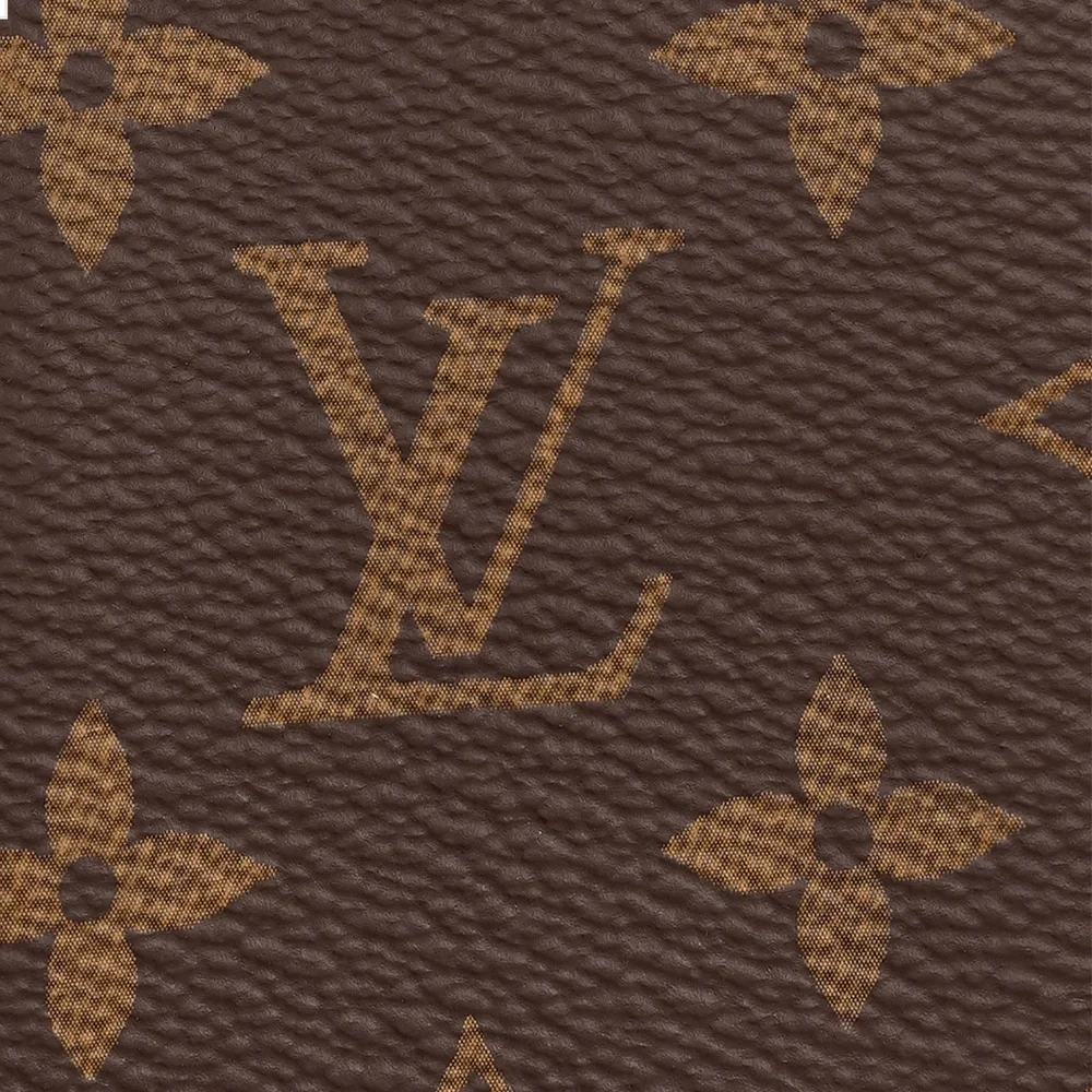 LOUIS VUITTON POCKET ORGANIZER - Picture 5 of 14